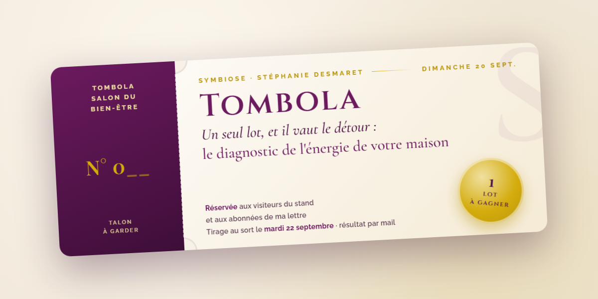 Billet de tombola du Salon du Bien-Être : un seul lot à gagner, le diagnostic de l'énergie de votre maison, tirage le mardi 22 septembre